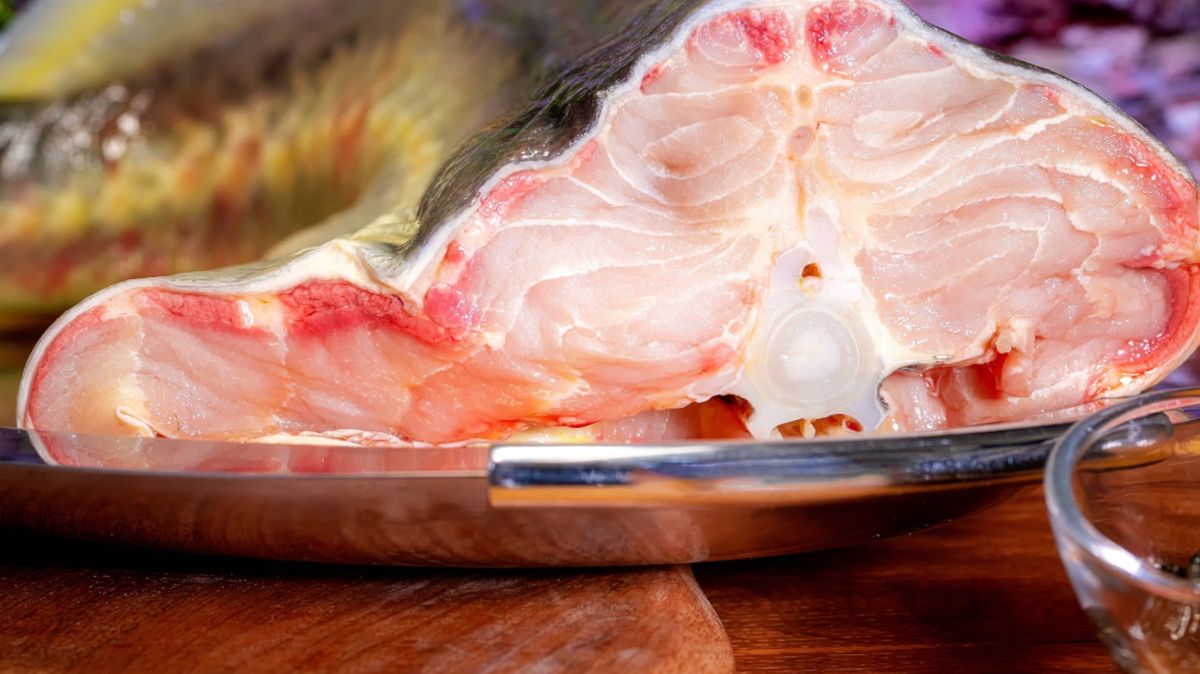 Kiedyś jesiotr królował na wigilijnym stole