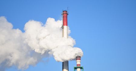 Firmy mocno bronią się przed upadłościami. Eksperci komentują: To cisza przed burzą