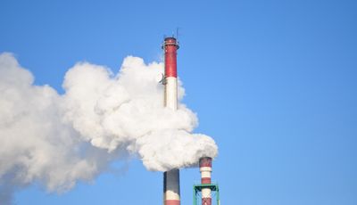 Firmy mocno bronią się przed upadłościami. Eksperci komentują: To cisza przed burzą