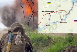 Nie wytrzymają do wiosny? "Odciąć, głodzić i okładać bez sentymentów"