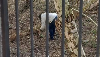 Kobieta przyłapana. Ręce opadają. "Przykra sytuacja"