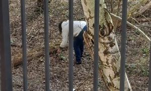 Kobieta przyłapana. Ręce opadają. "Przykra sytuacja"