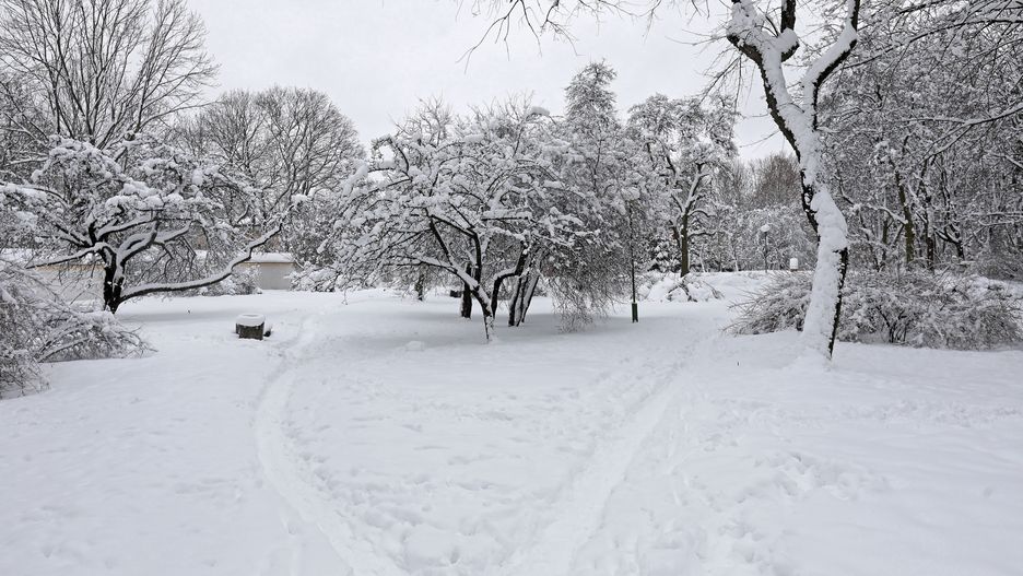 Pogoda. Wrocław. 28 stycznia 2021 - dużo deszczu i śniegu. Trzy dni z kiepską aurą