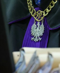 Znany reżyser skazany. W wypadku zginęła 10-letnia Hania