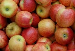 Ceny jabłek idą w górę. Wszystko przez małe zbiory i duży eksport