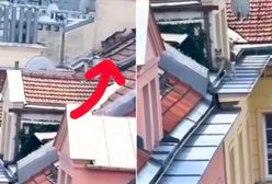 Pies biegał po dachu w Warszawie. Świadek wszystko nagrał