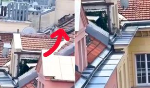 Pies biegał po dachu w Warszawie. Świadek wszystko nagrał