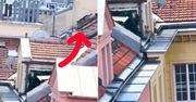 Pies biegał po dachu w Warszawie. Świadek wszystko nagrał