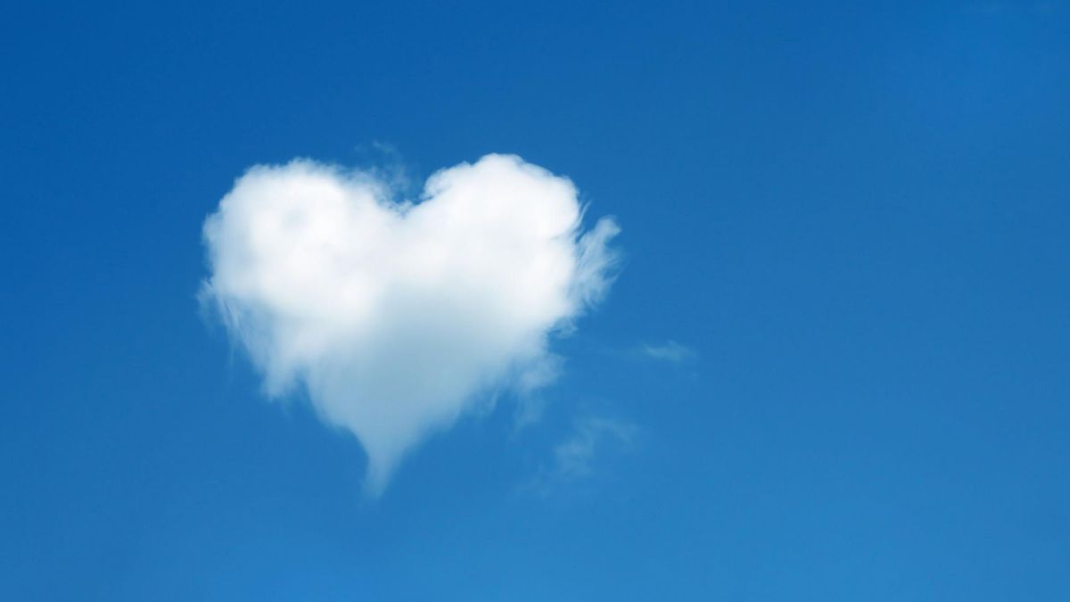 Pareidolia to dostrzeganie kształtów w miejscu, gdzie tak naprawdę ich nie ma.