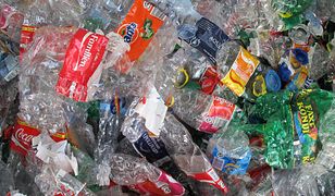 Koncerny walczą z problemem, który stworzyły. Jak pozbyć się plastiku?