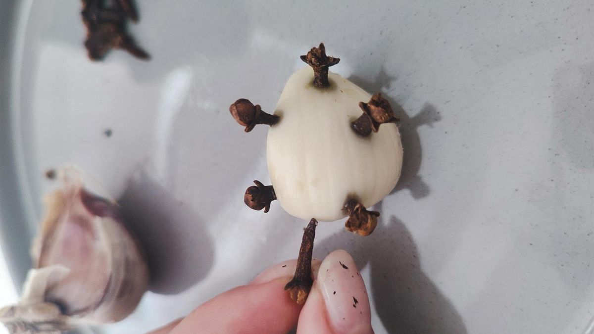 Czosnek z goździkami- Pyszności