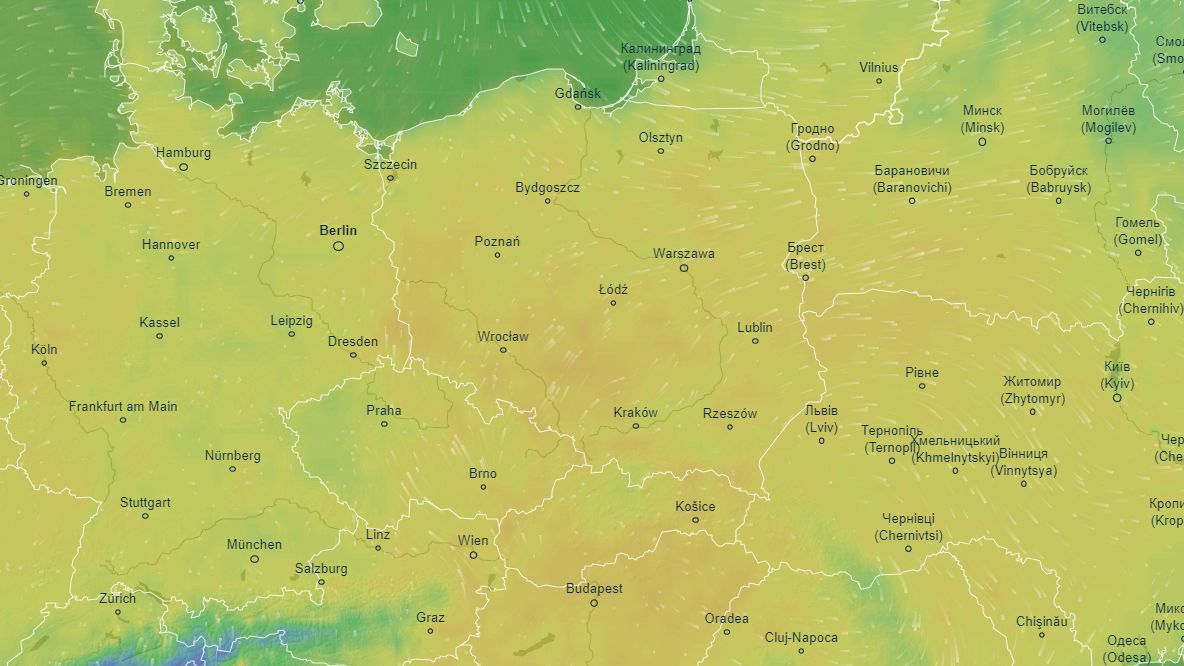 Zdjęcie ilustracyjne 