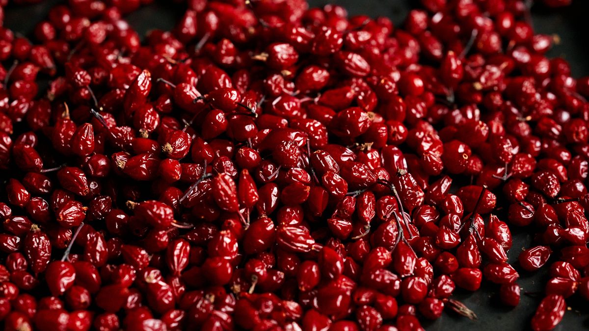 Dzika róża wpływa pozytywnie na stawy