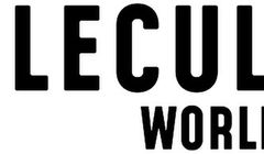 Reorganizacja w Omnicom Commerce. Co z agencją Molecular Creative?