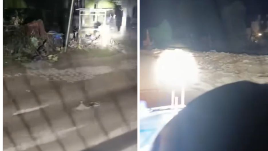 Patrole nocne policji