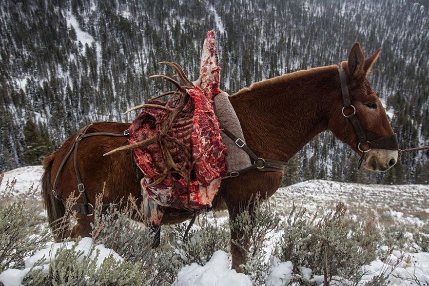 Oto najlepsze fotografie 2016 roku według magazynu National Geographic 46