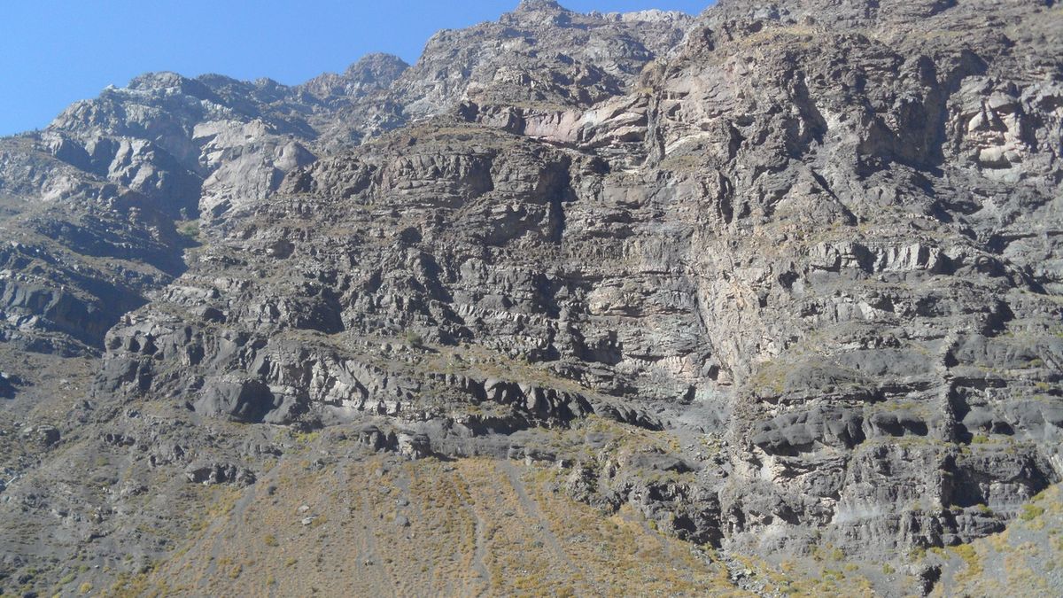 Zdjęcie ilustracyjne.