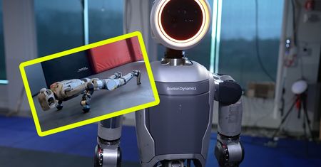 Pora “przypakować”. Robot wpadł na siłownię