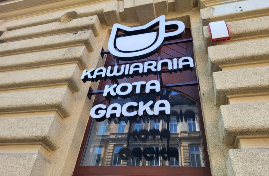 W Szczecinie powstaje kawiarnia upamiętniająca kota Gacka