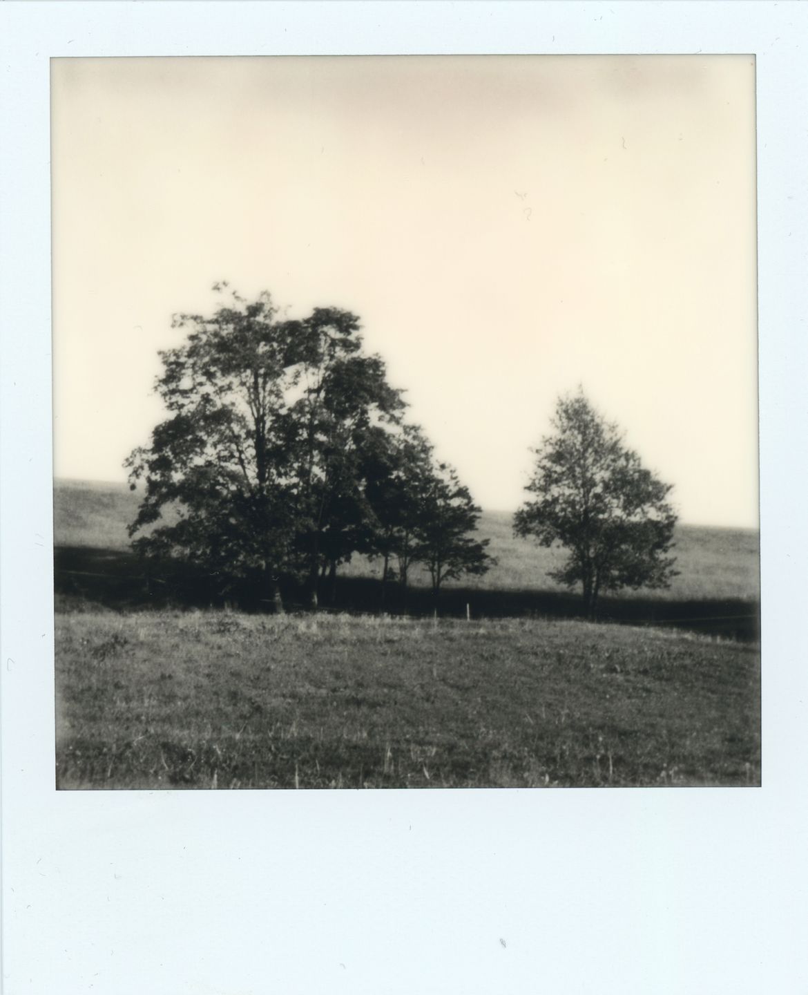 Impossible I-1 – czy współczesny Polaroid jest chociaż zbliżony do oryginałów? [test] 22