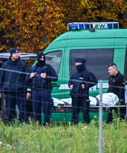 Koniec wielkiej akcji ws. Grzegorza Borysa. Prokuratura potwierdza