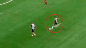 Nieprawdopodobny gol 39-latka. Obejrzysz więcej niż raz [WIDEO]