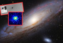 Satelity uchwyciły tajemniczy obiekt w Układzie Słonecznym. Mnożą się teorie