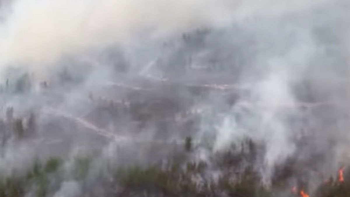 Pożary wybuchły w obwodzie riazańskim na południowy wschód od Moskwy