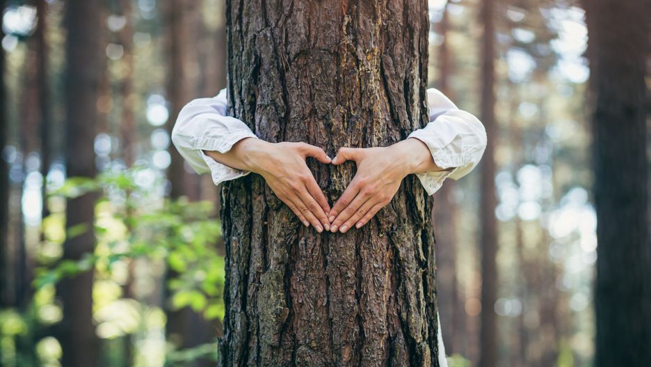 hands of a young woman hug a tree in the forest and show a sign of heart and love for nature
hands of a young woman hug a tree in the forest and show a sign of heart and love for nature
VORONA
person, hand, tree, woman, wood, heart, forest, nature, love, hug, trunk, care, shape, eco, protection, ecology, plant, outdoor, symbol, concept, environment, green, female, natural, affection, save, human, romance, park, arm, summer, preservation, environmental, adult, bark, conceptual, embracing, ecosystem, conservation, romantic, passion, gesture, botanical, valentine, growth, emotion, sweetheart, sustainability, relaxation, girl, person, hand, tree, woman, wood, heart, forest, nature, love, hug, trunk, care, shape, eco, protection, ecology, plant, outdoor, symbol, concept, environment, green, female, natural, affection, save, human, romance, park, arm, summer, preservation, environmental, adult, bark, conceptual, embracing, ecosystem, conservation, romantic, passion, gesture, botanical, valentine, growth, emotion, sweetheart, sustainability, relaxation