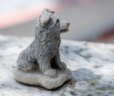 Pierwszy taki obiekt za Odrą. Zainteresowanie przerosło oczekiwania