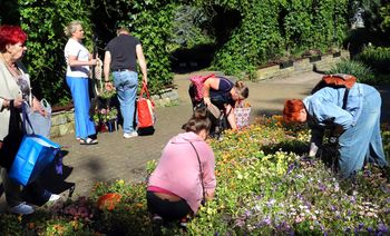 Bezpłatnie rozdawano kwiaty z Ogrodu Botanicznego w Grudziądzu. Mamy zdjęcia