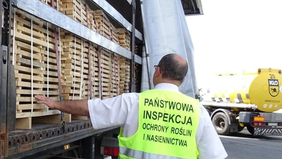 Eksport pod lupą PIORiN