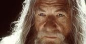 Gandalf pokonał Pottera