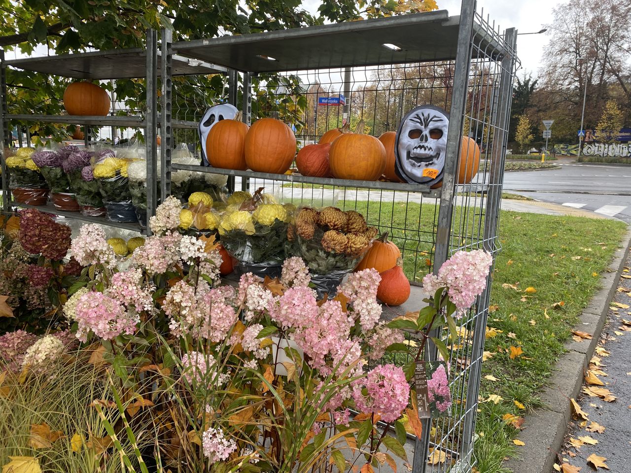 Nikt jeszcze nie ozdabia tak grobów, ale halloweenowe dekoracja spotkać już można powszechnie przed domami i restauracjami