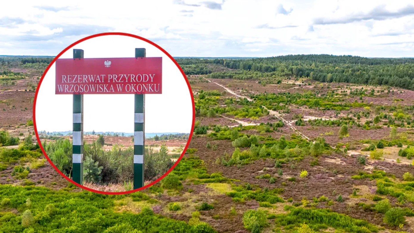 Teren dawnego poligonu, gdzie dziś jest rezerwat, jest ogromny