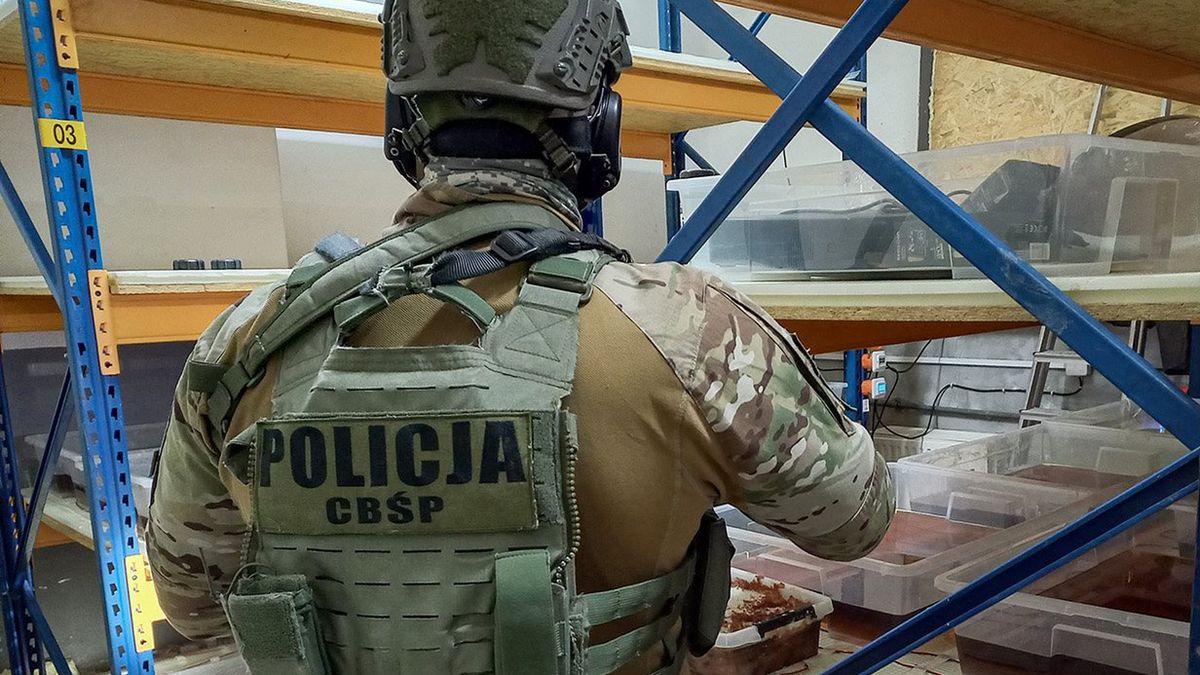 Influencerzy zatrzymani przez CBŚP (Zdj. ilustracyjne)