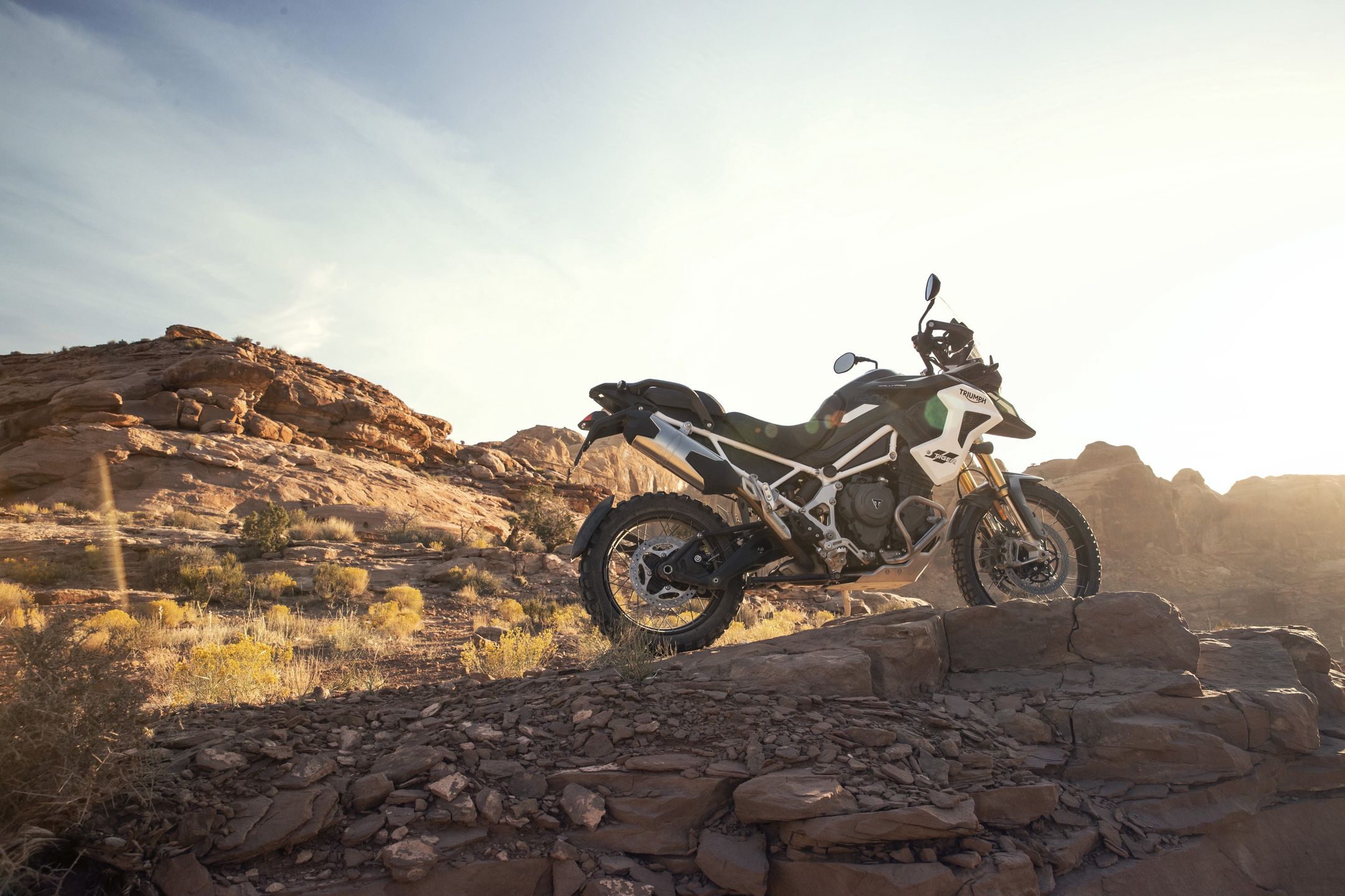 Triumph Tiger 1200
