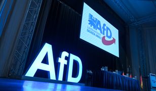 Większość Niemców nie chce delegalizacji AfD. Jest sondaż