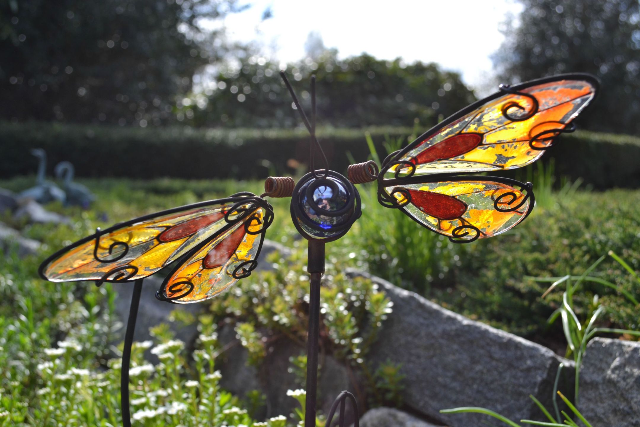 OnePlus One czy lustrzanka? Zobacz zdjęcia porównawcze 17