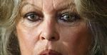Brigitte Bardot znowu przyciąga tłumy