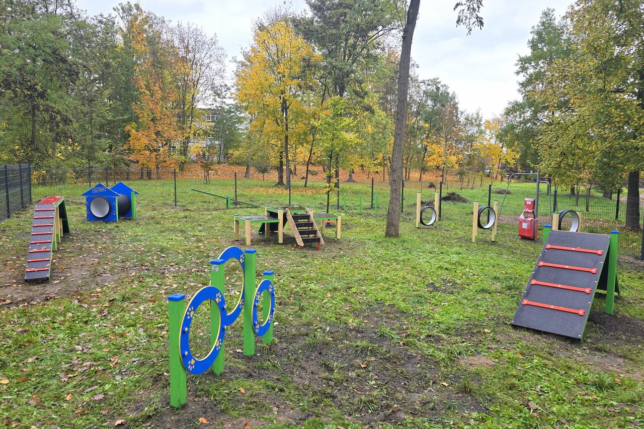 Plac zabaw dla psów w Pile – nowa przestrzeń do zabawy i treningu