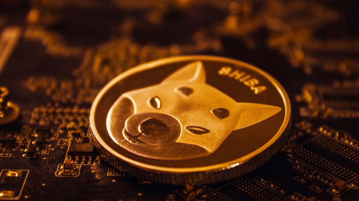 Kryptowaluta Shiba Inu jest rozchwytywana przez inwestorów