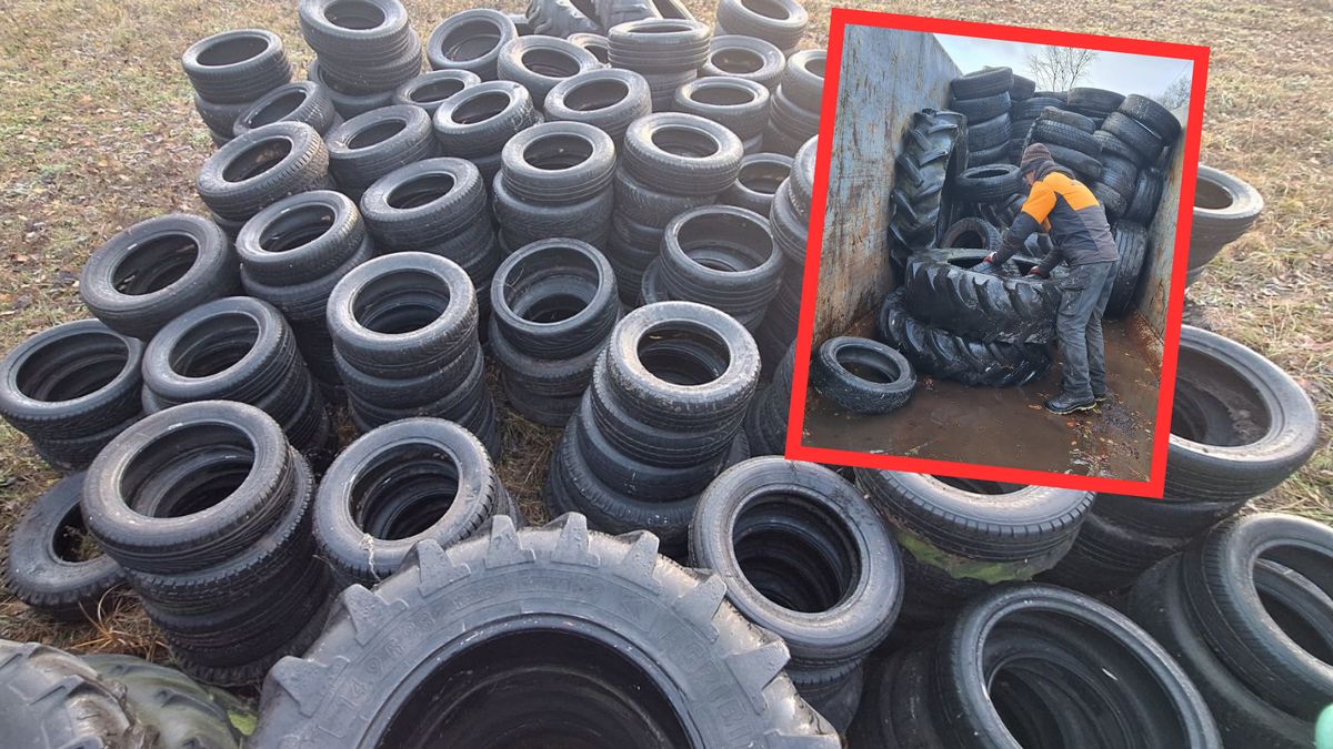 Przerażające. Leśnicy pokazali, ile opon wywieźli z lasów 