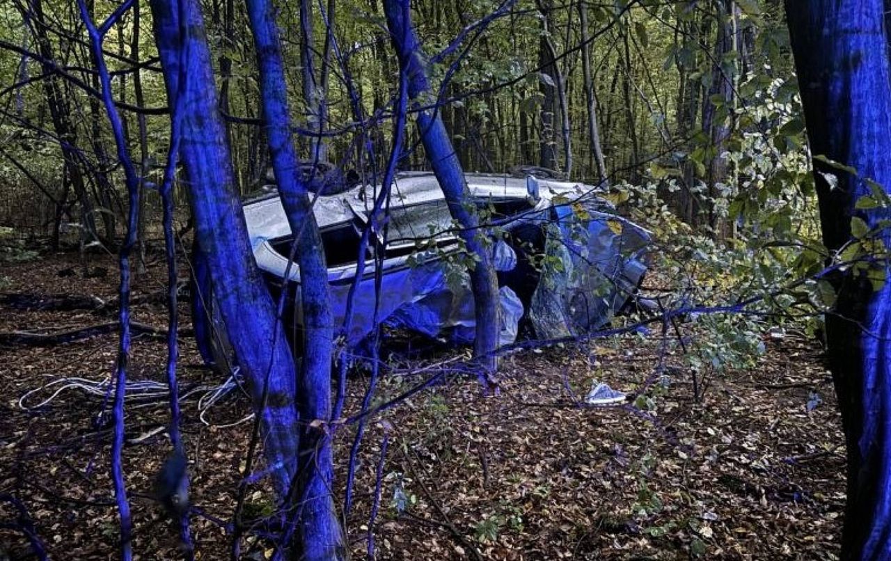 Auto dachowało w lesie