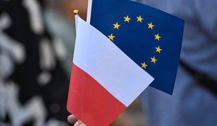 Co Niemcy myślą o Polsce w Unii? Są wyniki sondy