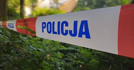 Szef MSZ Ukrainy o wybuchu na polu we wsi Tarnawa-Kolonia: „Rosyjska rakieta manewrująca Ch-101 wleciała do Polski”