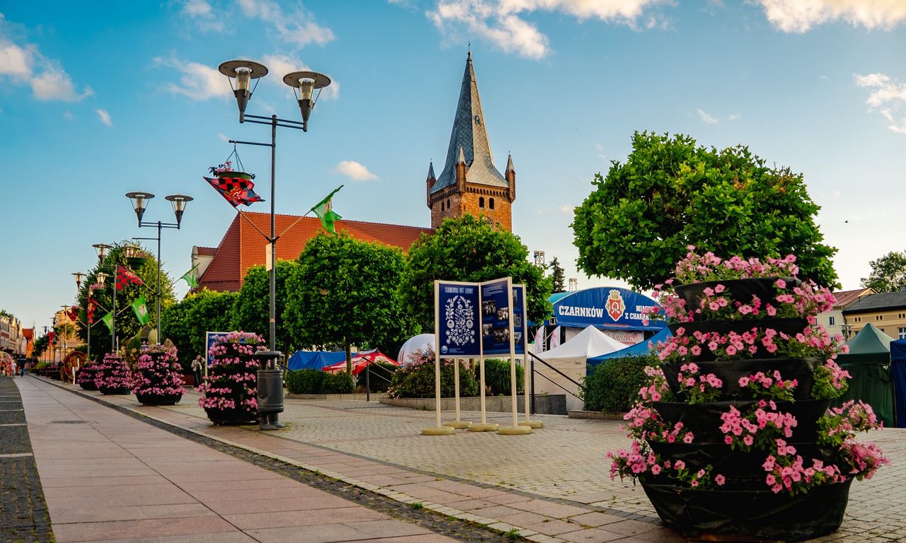 Festiwal Kwiatów 2026 w Czarnkowie - kwiatowy weekend pełen atrakcji