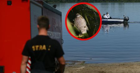 Zakaz wchodzenia do wody przez cały lipiec. Alert RCB