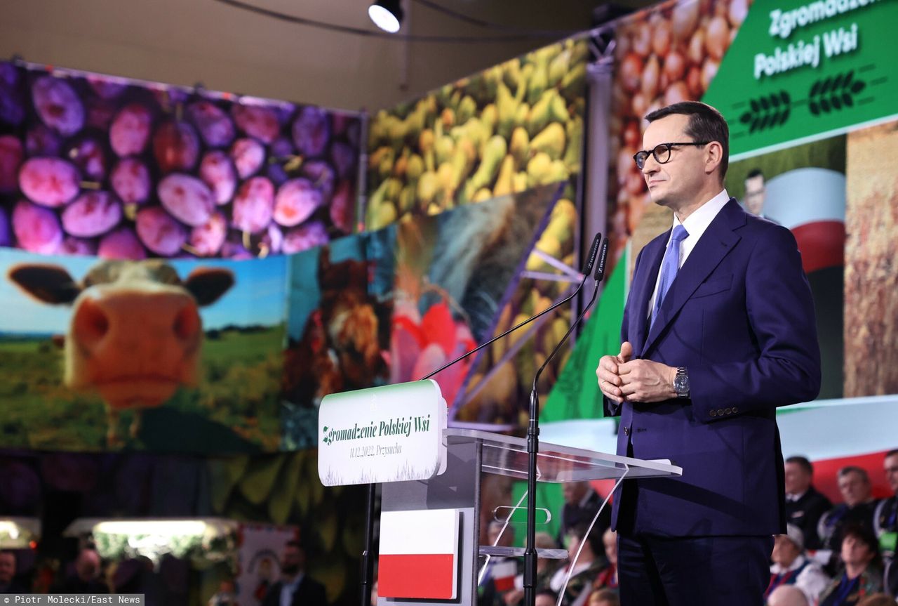 Będzie państwowa sieć sklepów. PiS pisze o tym w programie