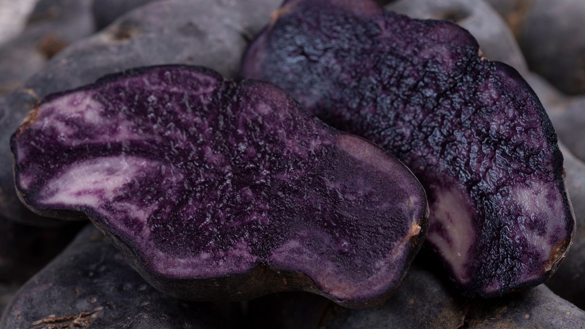 Fioletowe ziemniaki to ciekawostka, ale rzadko je kupujemy